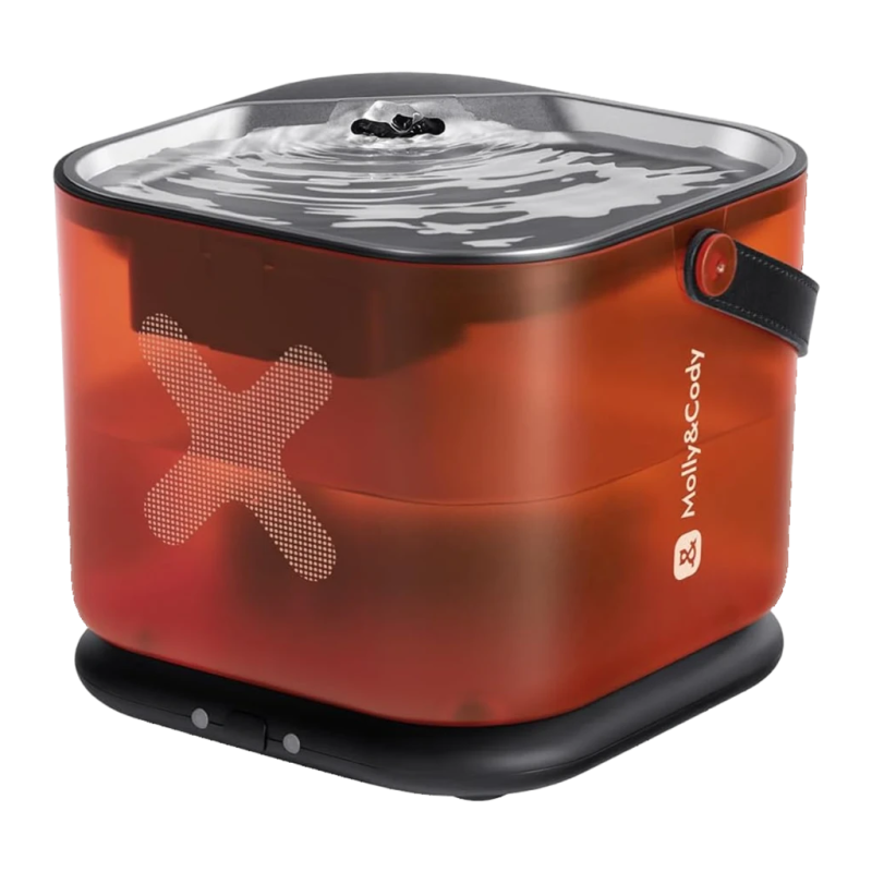 Molly & Cody Fontaine pour Chats Sans Câble 3,2 L acier inoxydable Abreuvoir automatique