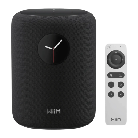 Wiim Sound 100W WiFi Chromecast compatible avec Alexa et Google Assistant Enceinte Bluetooth 5.3