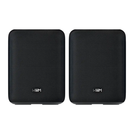 WiiM Sound Lite Noir 100W WiFi Chromecast compatible avec Alexa Enceinte Bluetooth 5.3 Lot de 2