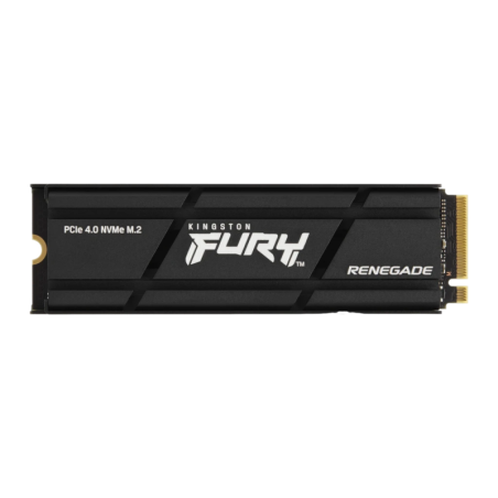 Kingston Fury Renegade 1TB avec dissipateur NVMe M.2 7300MB/s SSD