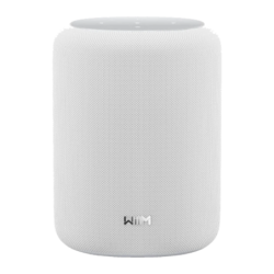 Wiim Sound Lite 100W WiFi 6E AirPlay Chromecast compatible avec Alexa Enceinte Bluetooth