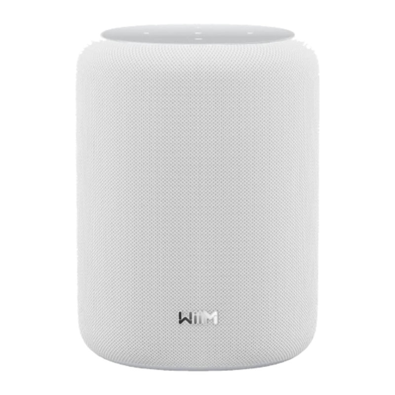 Wiim Sound Lite 100W WiFi 6E AirPlay Chromecast compatible avec Alexa Enceinte Bluetooth