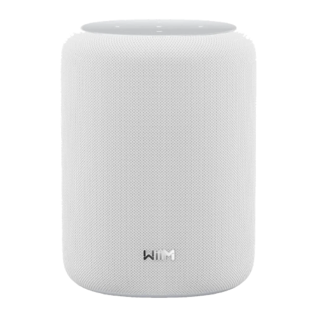 Wiim Sound Lite 100W WiFi 6E AirPlay Chromecast compatible avec Alexa Enceinte Bluetooth