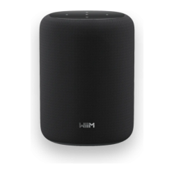 Wiim Sound Lite 100W WiFi 6 AirPlay Chromecast compatible avec Alexa Enceinte Bluetooth 5.3