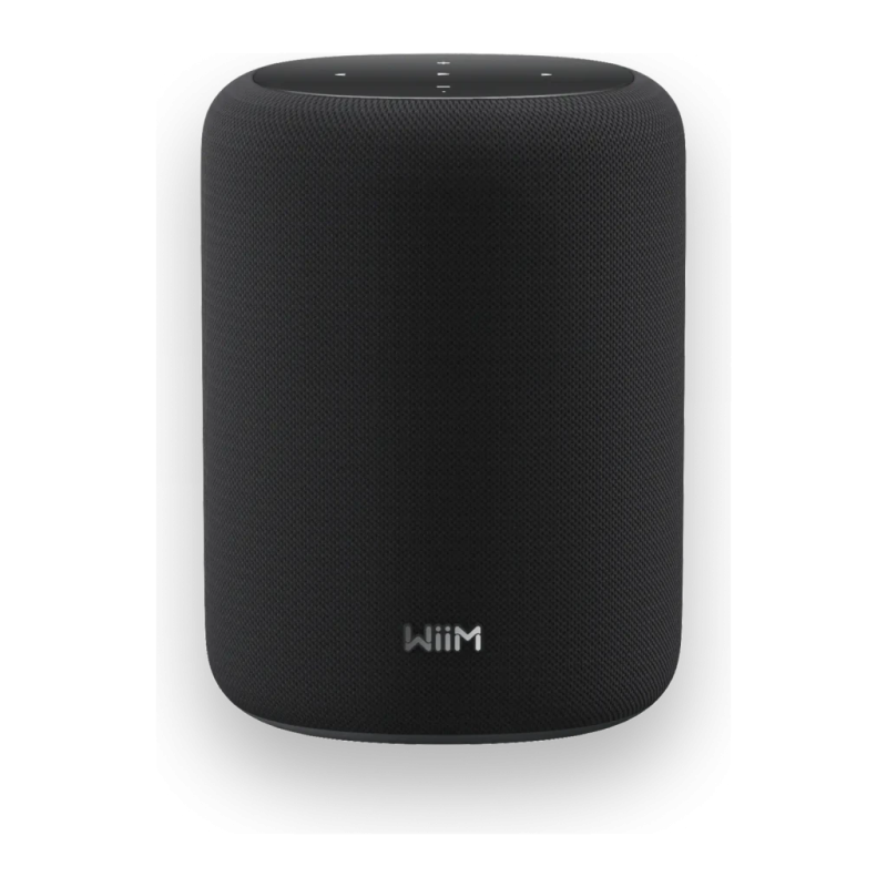 Wiim Sound Lite 100W WiFi 6 AirPlay Chromecast compatible avec Alexa Enceinte Bluetooth 5.3