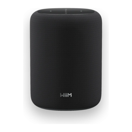 Wiim Sound Lite 100W WiFi 6 AirPlay Chromecast compatible avec Alexa Enceinte Bluetooth 5.3
