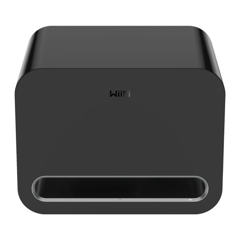 Wiim Sub Pro Classe D 250W Bluetooth 5.3 WiFi Subwoofer