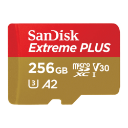 SanDisk GamePlay 256GB 190MB/s A2 V30 U3 Carte microSD