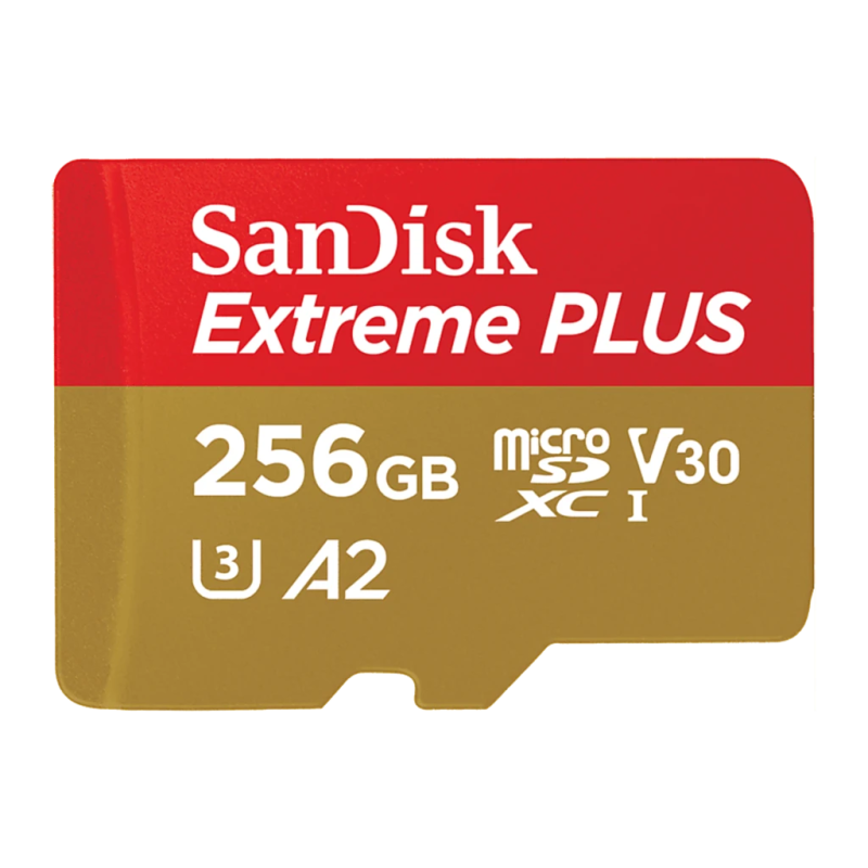 SanDisk GamePlay 256GB 190MB/s A2 V30 U3 Carte microSD
