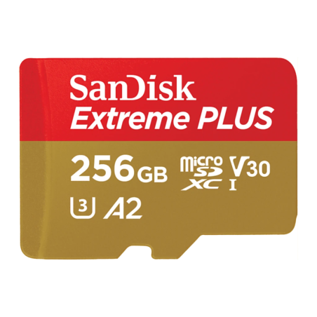 SanDisk GamePlay 256GB 190MB/s A2 V30 U3 Carte microSD