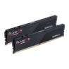 G.Skill Flare X5 48GB (2x 24GB) F5-5200J4040A24GX2-FX5 DDR5 CL40 DIMM Mémoire RAM