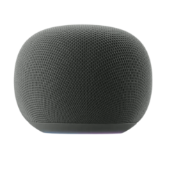 Google Home Assistant Gris mains libres WiFi Enceinte Bluetooth 5.4