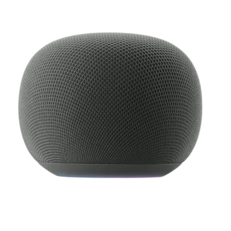 Google Home Assistant Gris mains libres WiFi Enceinte Bluetooth 5.4