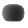 Google Home Assistant Gris mains libres WiFi Enceinte Bluetooth 5.4
