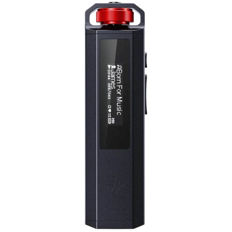 FiiO Snowsky ECHO NANO PCM 24bit/192kHz Noir Lecteur Hi-Res