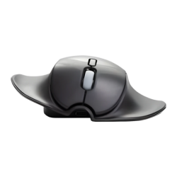 BakkerElkhuizen HandShoeMouse Wireless 2,4 GHz 3 boutons Souris sans fil