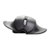 BakkerElkhuizen HandShoeMouse Wireless 2,4 GHz 3 boutons Souris sans fil