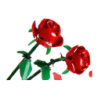 Set de construction LEGO Botanicals Roses 40460 120 pièces +8 ans