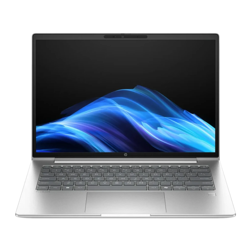 HP ProBook 4 G1ah Wolf Pro Security Edition 16GB/512GB 14 pouces IPS WUXGA AMD Ryzen 5 220 NVMe PCIe Argent PC portable