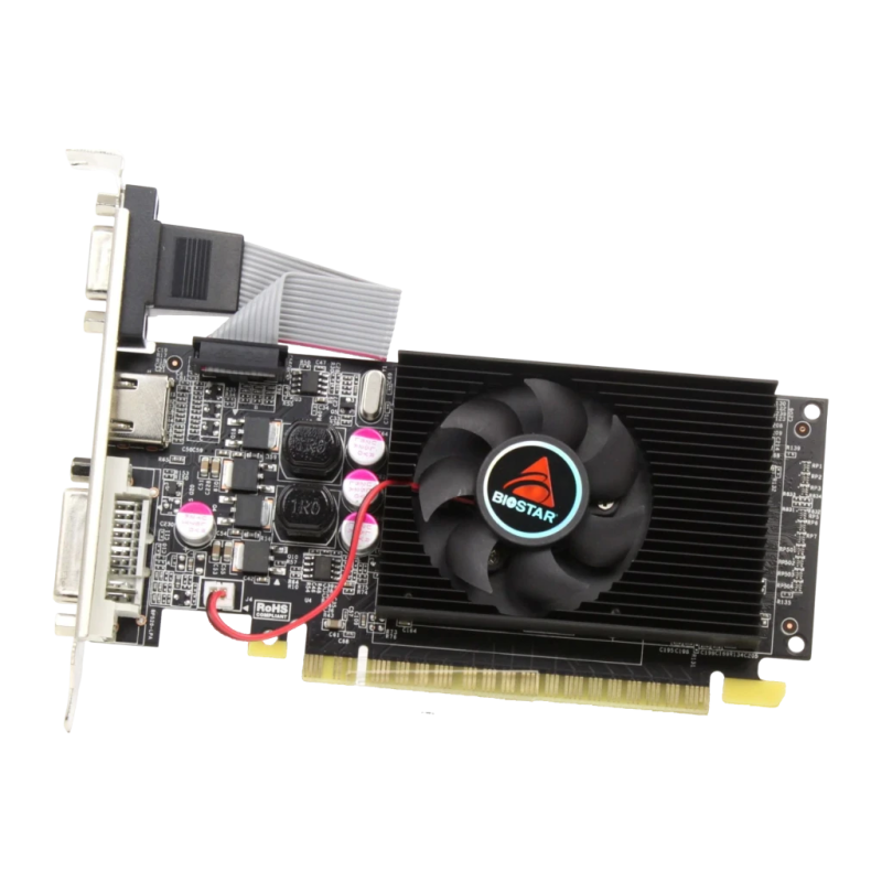 Biostar GeForce GT 610 2GB GDDR3 Carte graphique