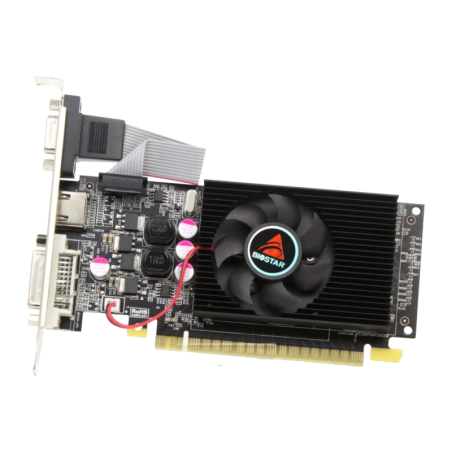 Biostar GeForce GT 610 2GB GDDR3 Carte graphique
