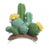 Déguisement Loona en Tricot Cactus pour Robot Premium Vert
