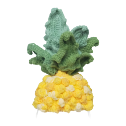 Déguisement Tricot Loona Premium Ananas