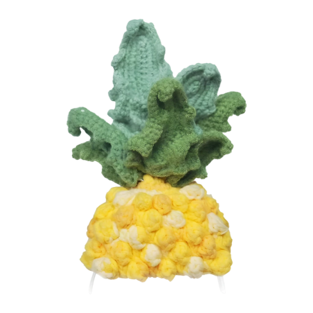 Déguisement Tricot Loona Premium Ananas
