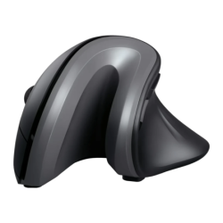 Trust Verro Noir Vertical 1600 DPI 6 boutons 2,4GHz Souris sans fil ergonomique