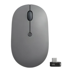 Lenovo Go USB-C Wireless Noir/Gris 5 boutons 71 g Souris sans fil