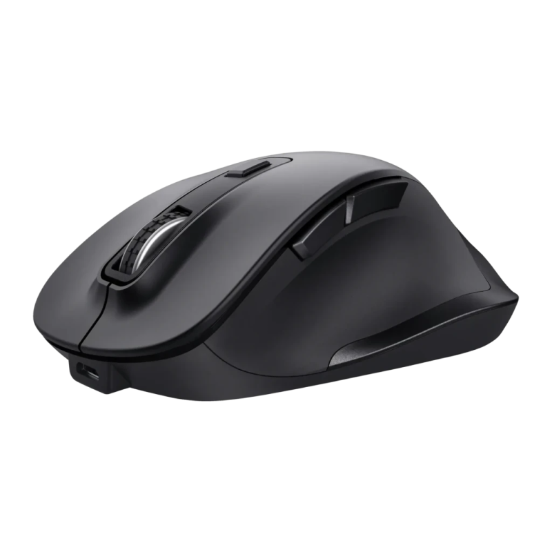 Trust Fyda Noir 6 boutons 2,4GHz 106 g Souris sans fil ergonomique