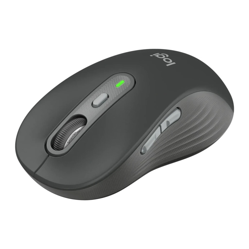 Logitech Signature Plus M750L Graphite 6 boutons Bluetooth + 2,4GHz 111 g Souris sans fil silencieuse