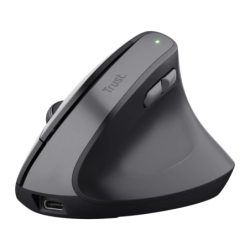 Trust Ergonomic Noir TM-270 2400 DPI 6 boutons 2,4GHz 115 g Souris sans fil silencieuse