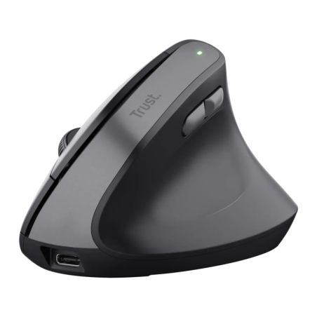Trust Ergonomic Noir TM-270 2400 DPI 6 boutons 2,4GHz 115 g Souris sans fil silencieuse