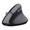 Trust Ergonomic Noir TM-270 2400 DPI 6 boutons 2,4GHz 115 g Souris sans fil silencieuse