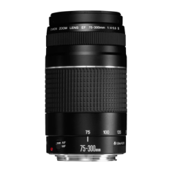 Canon EF 75-300mm f/4-5.6 III Noir Objectif photo