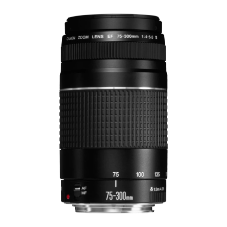 Canon EF 75-300mm f/4-5.6 III Noir Objectif photo