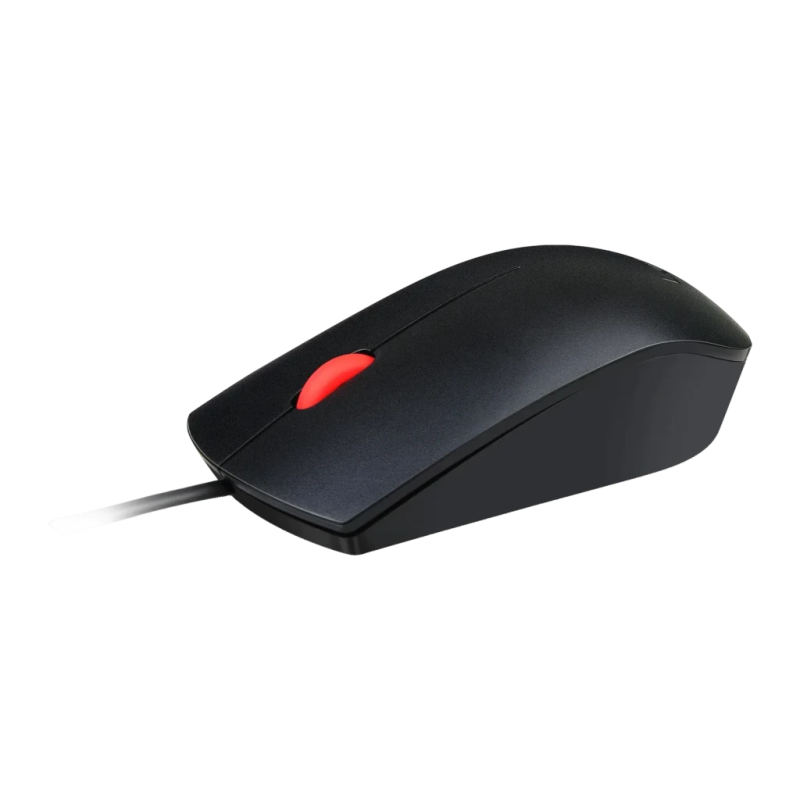 Lenovo Essential Noir 1600 DPI 3 boutons USB 70 g Souris