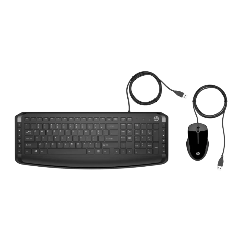 HP 250 Noir Filaire USB Clavier et souris