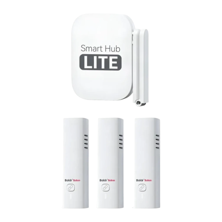 Rainpoint Blanc avec Capteur et Hub Température et Humidité 1 pile AA HCS802ARF WiFi Thermo-hygromètre