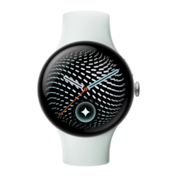 Google Pixel Watch 5 45 mm Argent AMOLED NFC 5ATM