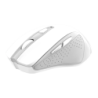 Trust Nito Silent Blanc 2200 DPI 5 boutons 2,4GHz 100 g Souris sans fil