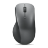 Lenovo ThinkPad Professional Bluetooth Rechargeable Mouse Gris 4Y51J62544 2400 DPI 6 boutons 96 g Souris ergonomique