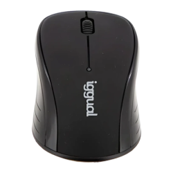 iggual WOM Basic 1600 DPI Noir 3 boutons 2,4GHz Souris sans fil