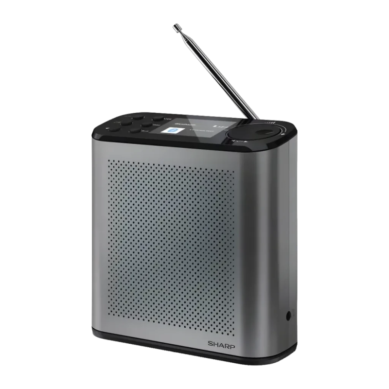 Sharp DR-P530 Batterie Li-Ion DAB+, FM Bluetooth 15h Radio numérique rechargeable