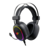 Havit H2016D RGB Jack 3,5 mm + USB Arceau avec micro Boom Casque gaming