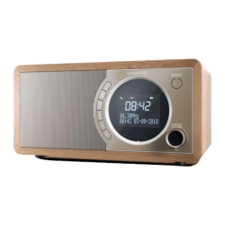 Sharp DR-450 DAB+/FM Courant alternatif Bluetooth LCD réveil Radio