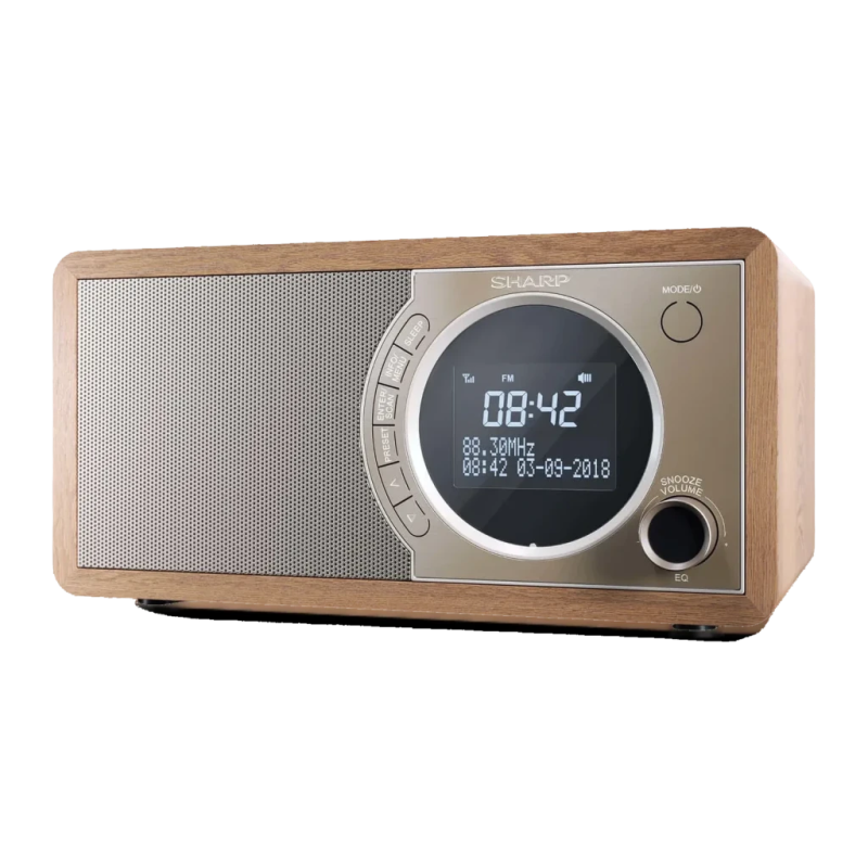 Sharp DR-450 DAB+/FM Courant alternatif Bluetooth LCD réveil Radio