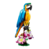 Set de construction LEGO Creator 3 en 1 Perroquet Exotique 31136 253 pièces