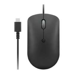 Lenovo 400 Optique Noir de Jais Filaire USB-C 2400 DPI 4 boutons 67 g Souris compacte
